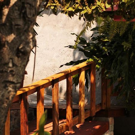 Casa Rustica Villa Atlixco Exterior photo